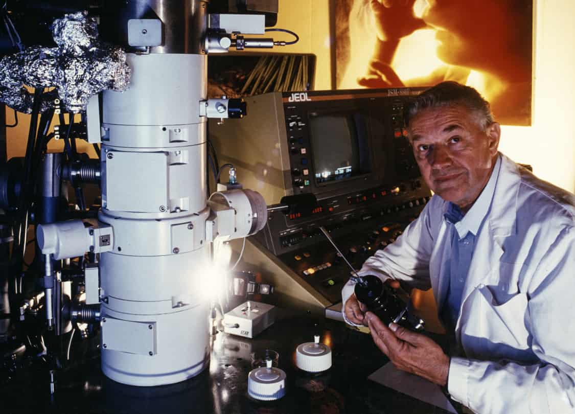 Copyright Lennart Nilsson Photography